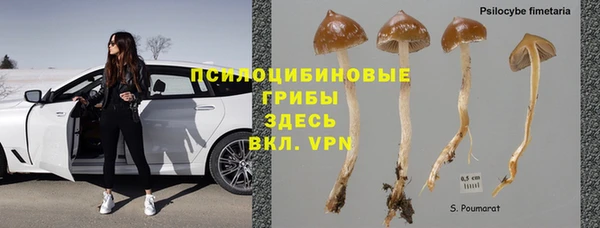 кокс Алзамай