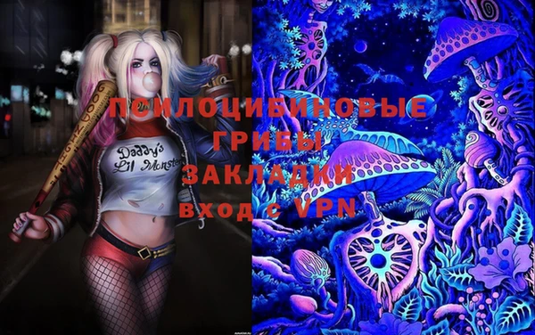 PSILOCYBIN Алексин
