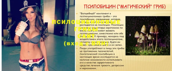 PSILOCYBIN Алексин