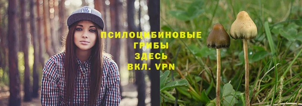 PSILOCYBIN Алексин