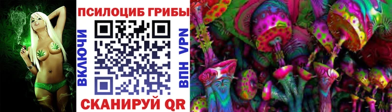 Псилоцибиновые грибы Cubensis  Калтан 
